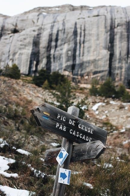 guide de la route pdf gratuit