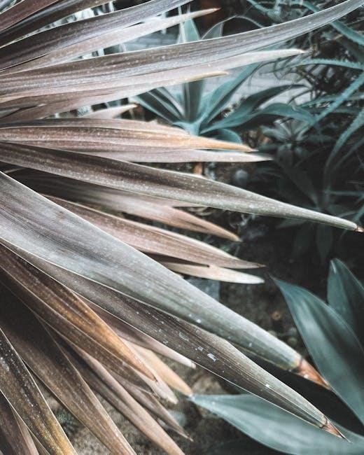 vinayagar agaval lyrics in tamil pdf